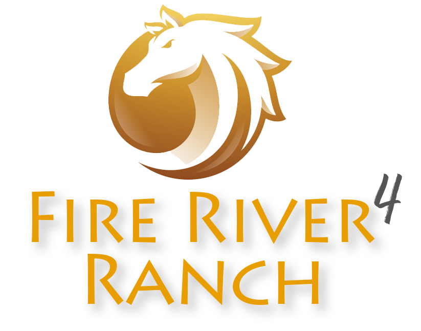 Fire River 4 Ranch - Horse Boarding and Equestrian in Plant City
