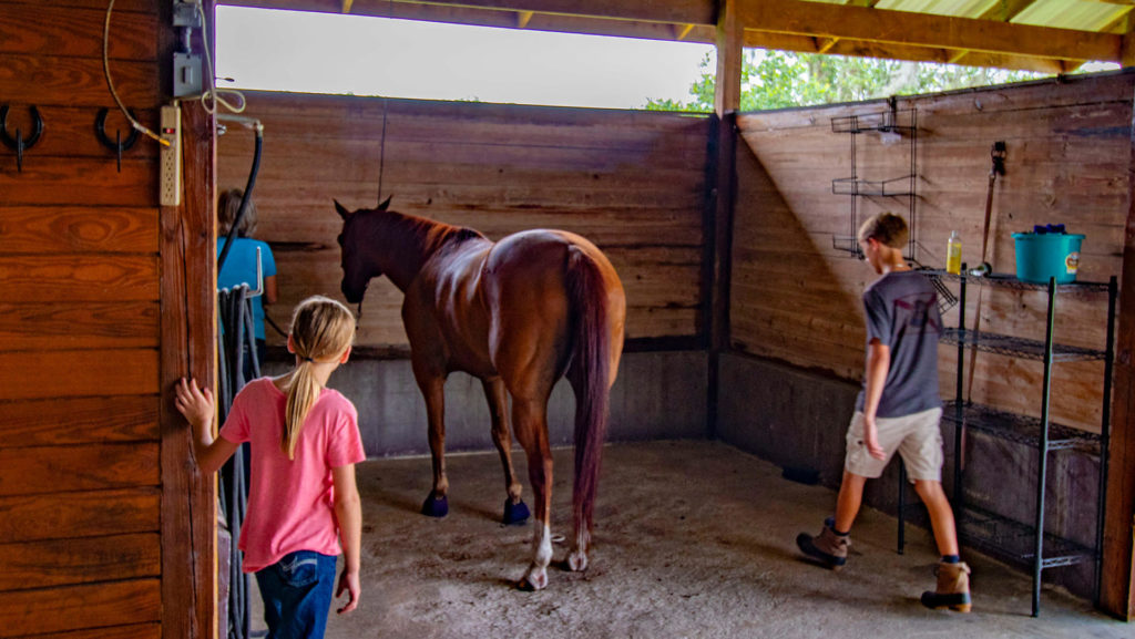 Horse Boarding Plant City, Lakeland & Lithia Fire River 4 Ranch Gallery